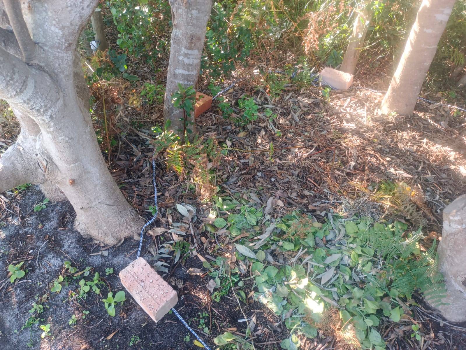Bare ground marked out before the deck was built
